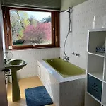 Hoge Blekker * Coxyde