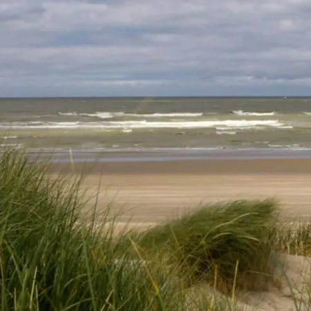 Hoge Blekker * Coxyde